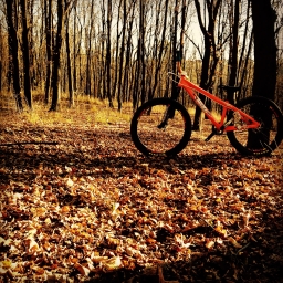 My Bikes 2019-02-14