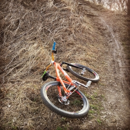 My Bikes 2019-02-14
