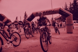 rgt-cover.jpg